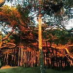 Appartamento Juros Brizas Palanga