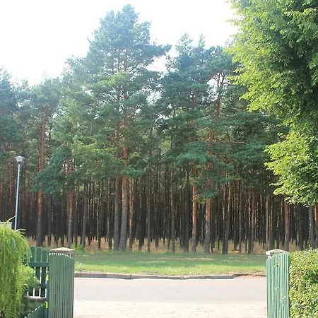 Juros Brizas * Palanga